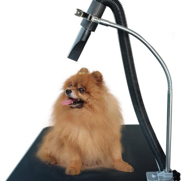 Support de tuyau robuste pour sèche-cheveux de chien : idéal pour les toiletteurs professionnels et passionnés d'animaux