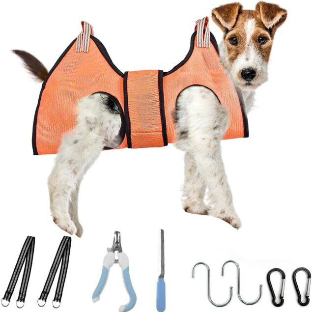 Hamac de toilettage pour chien : le meilleur accessoire pour un toilettage facile et agréable