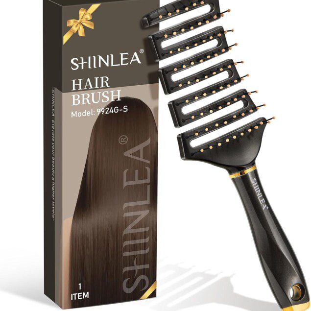 Brosse démêlante incurvée pour coiffeurs : un outil professionnel pour un séchage rapide et un massage doux