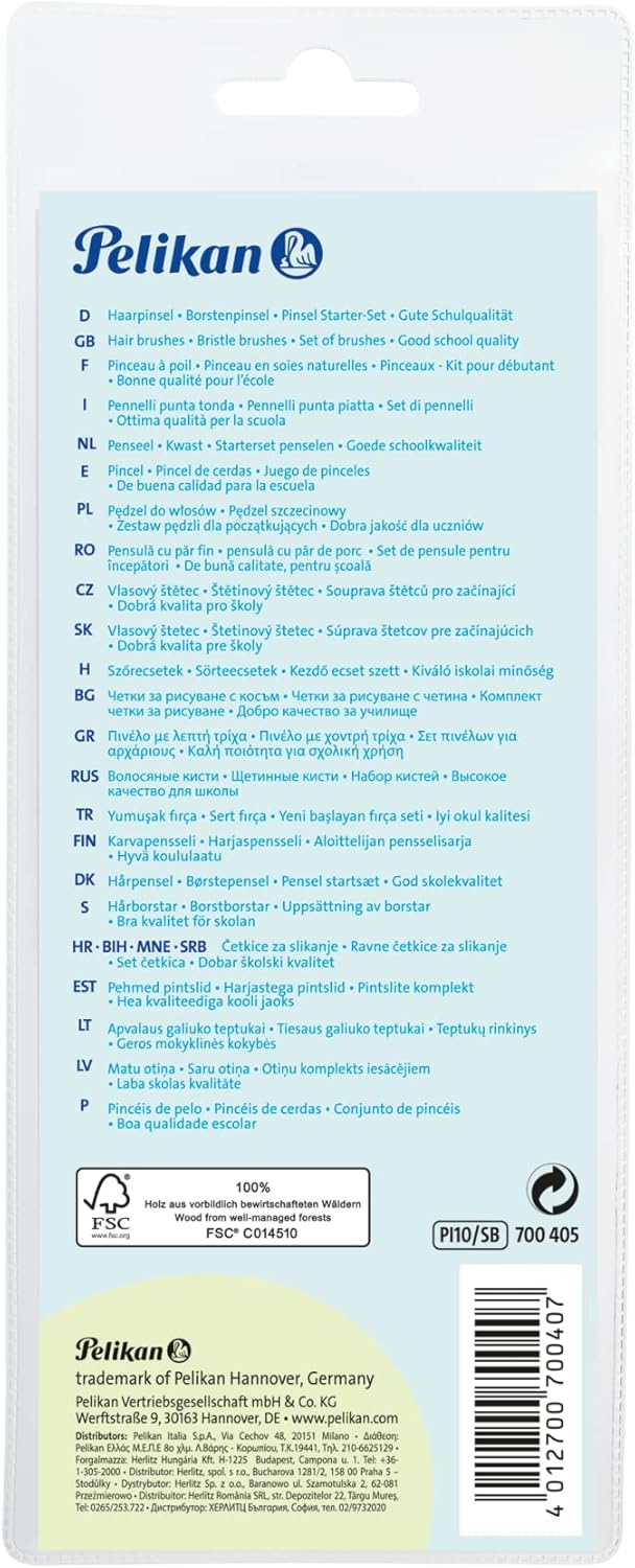 Pinceaux pour débutant : set de 10 pièces idéal pour libérer votre créativité – Image 6