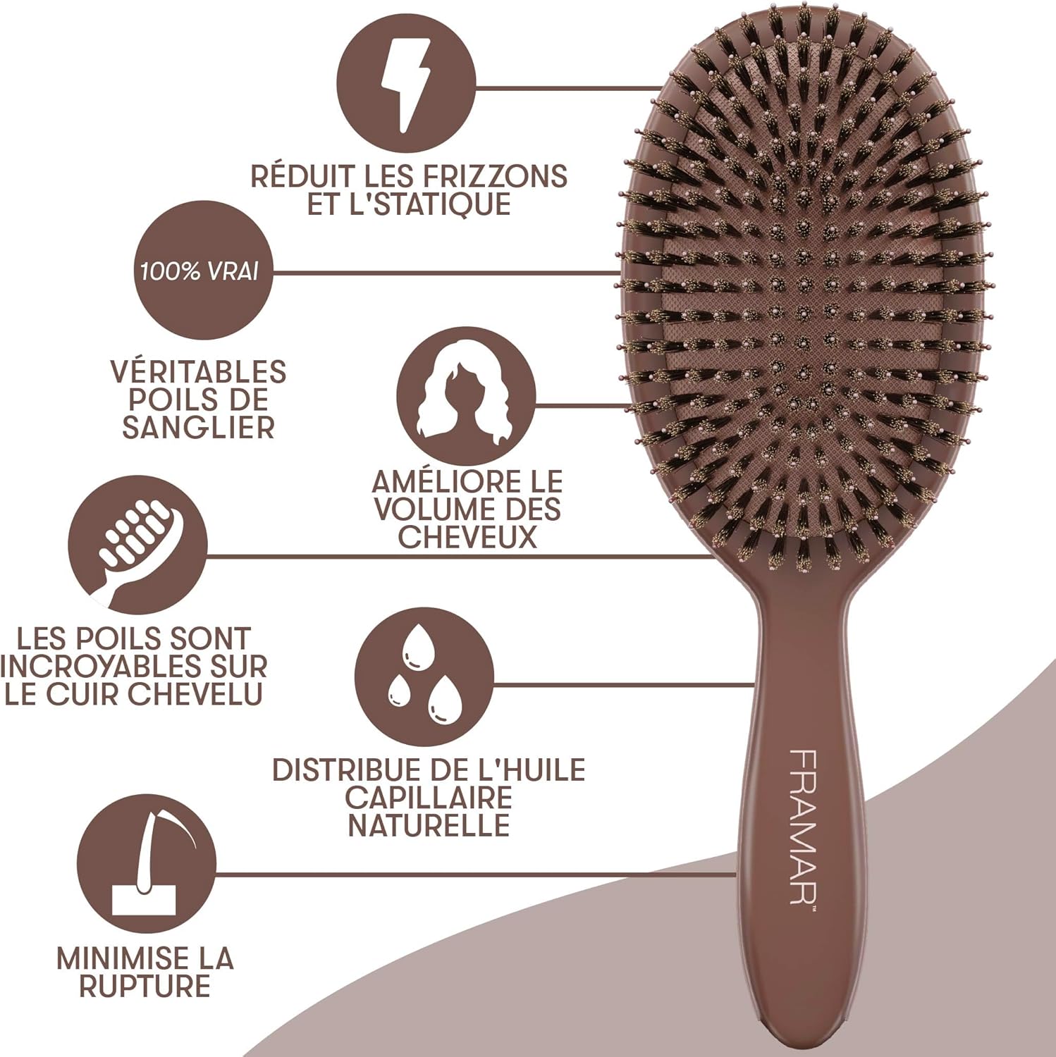 Brosse en poils de sanglier souple : l’alliée idéale pour les femmes aux cheveux fins – Image 6