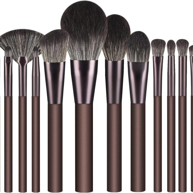 Pinceaux de maquillage professionnels : kit de 12 pièces premium pour un teint parfait et un maquillage éclatant