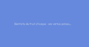 Bienfaits du fruit d’icaque : ses vertus potassium détaillées