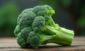 Brocoli Jauni : Peut-on Encore le Manger ?