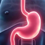 Cancer du pancréas : les symptômes à ne pas ignorer
