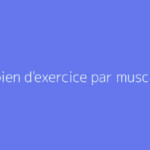 Combien d'exercice par muscle ?