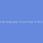 Combien de temps pour reconstituer la flore intestinale ?
