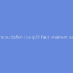 Diosmine ou daflon : ce qu'il faut vraiment savoir