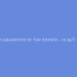 Épine calcanéenne et foie intestin : ce qu'il faut vraiment savoir