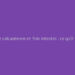 Épine calcanéenne et foie intestin : ce qu'il faut vraiment savoir