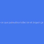 Qu'est-ce que puixudosvisdacize et à quoi ça sert ?