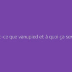 Qu'est-ce que vanupied et à quoi ça sert ?