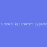 Régime citron 10 kg : comment s'y prendre ?