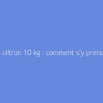 Régime citron 10 kg : comment s'y prendre ?