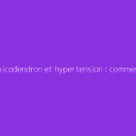 Rhus toxicodendron et hypertension : comment s'y prendre ?