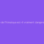 Sel rose de l'himalaya est-il vraiment dangereux ?