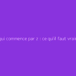 Sport qui commence par z : ce qu'il faut vraiment savoir