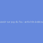 Tout savoir sur puy du fou : activités à découvrir : le guide complet