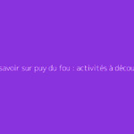Tout savoir sur puy du fou : activités à découvrir : le guide complet