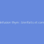 Vertu infusion thym : bienfaits et conseils