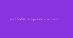Which Star's Unruly Flight Freakout Went Viral 2026